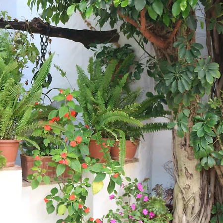 Restaurante Blanco Y 2*