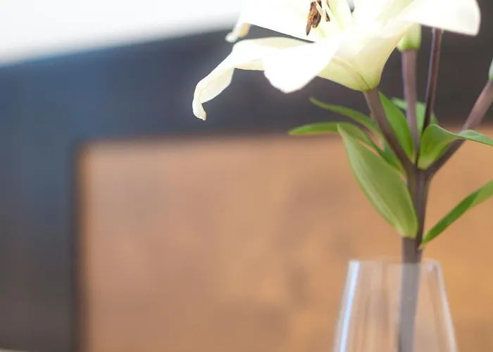 Restaurante Blanco Y 2* Кониль-де-ла-Фронтера