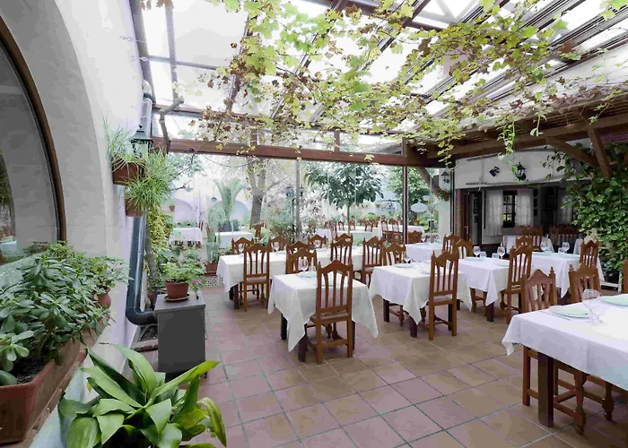 Отель Restaurante Blanco Y