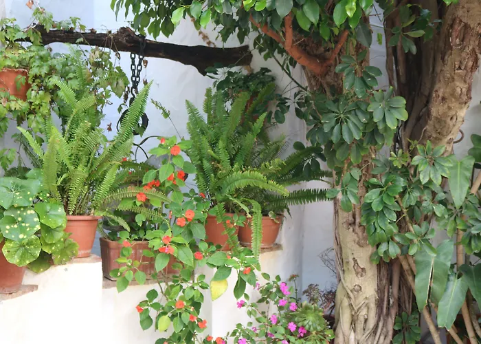 Restaurante Blanco Y 2*